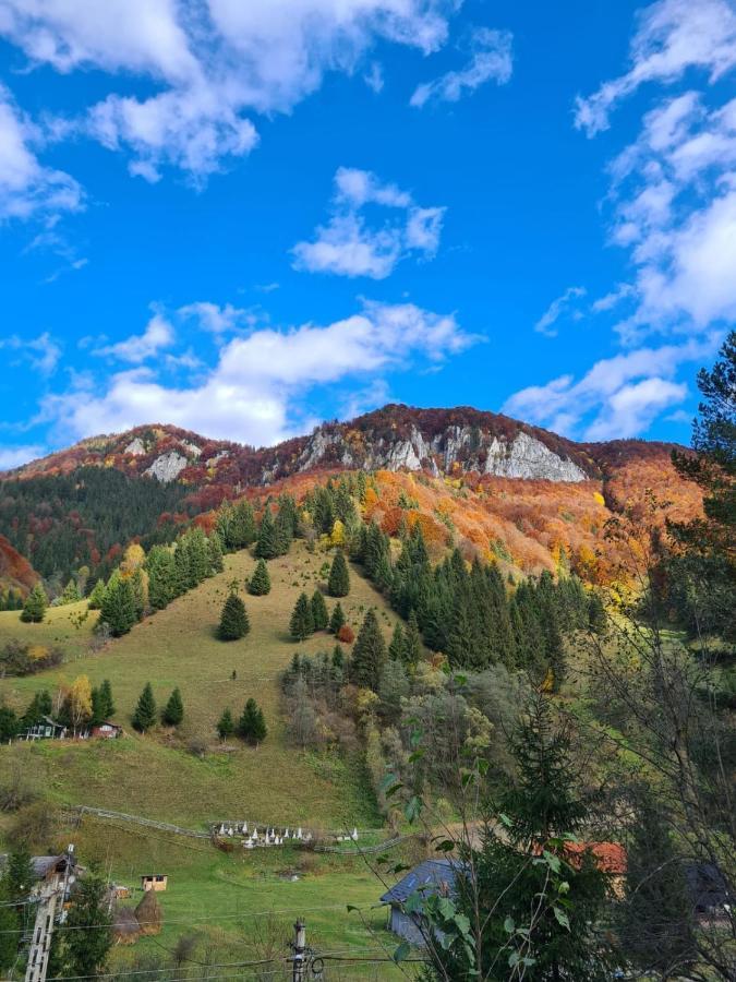 Casa Haiducilor Satic Rucăr Exteriör bild