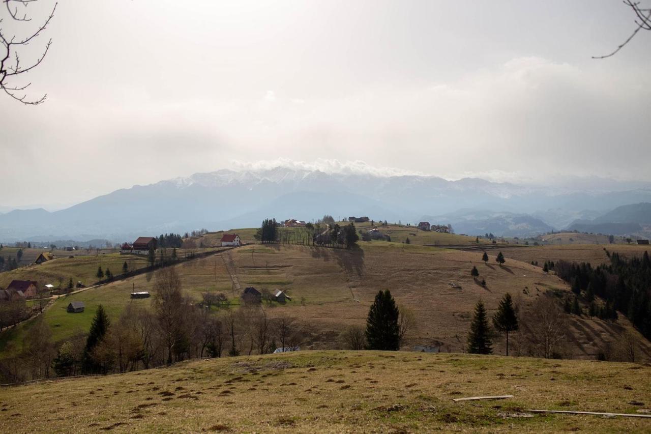 Casa Haiducilor Satic Rucăr Exteriör bild